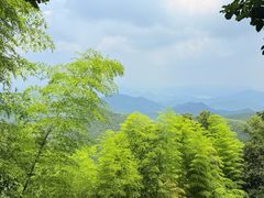 -莫干山风景区
