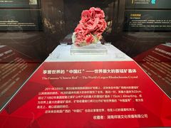 -湖南省地质博物馆