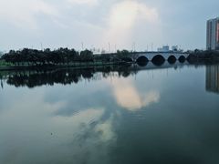 -飞来湖湿地公园