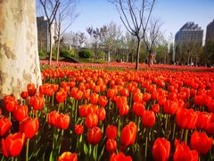 -廊坊文化艺术中心