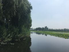 -白洋淀景区