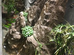 -徐鼎盛民间菜(上筑店)