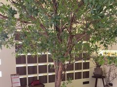 -静耳元気采耳·按摩·SPA(万象前海店)