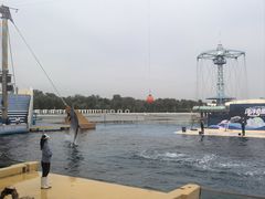 -秦皇岛乐岛海洋王国