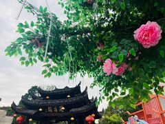 -芙蓉镇景区