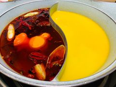 -青瓷火锅料理(西单大悦城店)