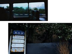 -南山植物园