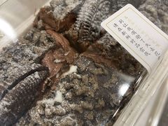 奥利奥魔法棒-奈雪的茶(金地广场店)