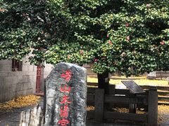 -青岛崂山太清宫