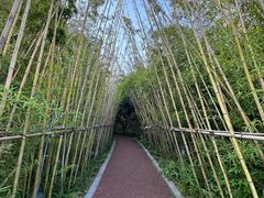 -金鸡湖桃花岛
