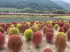 -径山花海