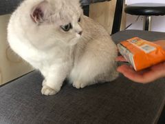 -青春加萌照相馆