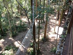 -野象谷景区