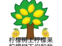 -老闽味沙茶面·姜母鸭(传承35年曾厝垵店)