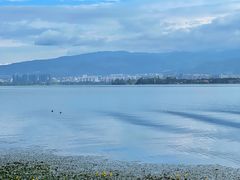 -西昌邛海湿地