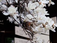 -龙华寺