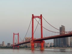 -刘胖子家常菜·蹄花焖藕(江汉路总店)