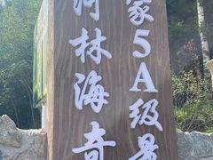 -汤旺河林海奇石景区