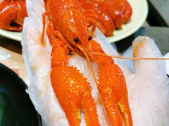 清蒸大虾-一棠龙虾•王牌虾球(楚河汉街店)