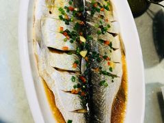 -阿巧一号私房菜(止园路店)