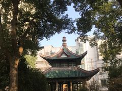 -长沙市青少年宫