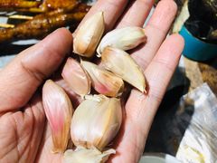 -锦州烧烤(食品街店)