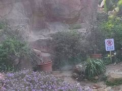 -狐尾山公园