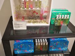 -DFS迪斐世(香港广东道店)