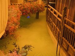 -叶叶菩提·晋福宫