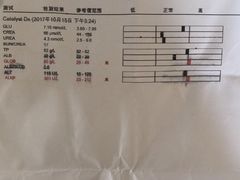 -爱侣宠医·鹦鹉专科·小型哺乳类·异宠专科(灵石路店)