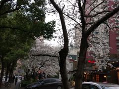 -玛格萝妮比萨屋(四平店)
