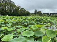 -河姆渡遗址博物馆