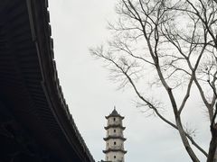 -江心屿景区