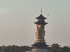 -溱湖国家湿地公园