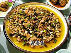 -老宋家鱼馆(北滨路店)