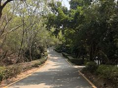 -广东惠东海龟国家级自然保护区