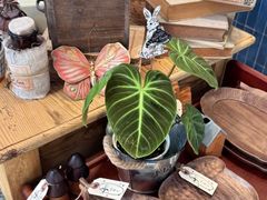 -半吨 Halfton&Friends(车公庙店)