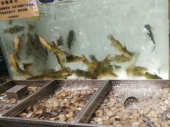 -金滏山烤肉·海鲜·火锅自助餐厅(襄阳万达店)