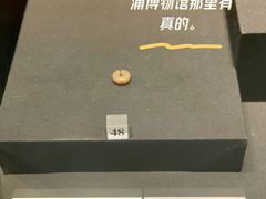 -上海崧泽遗址博物馆