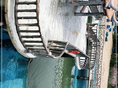 -广东惠东海龟国家级自然保护区