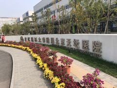 -首都医科大学附属北京天坛医院