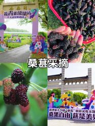 -太湖雪蚕桑文化园