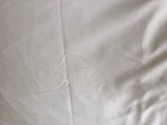 -日照君临天下大酒店