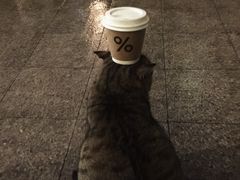 -% Arabica阿拉比卡咖啡(武康路店)
