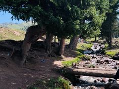 -新疆那拉提国家旅游度假区