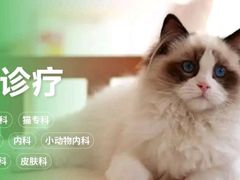 -悦宠动物医院(京丰分院)