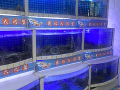 -黄记大闸蟹专卖店·活蟹·醉蟹