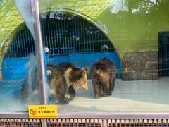 -荆州中山公园动物园