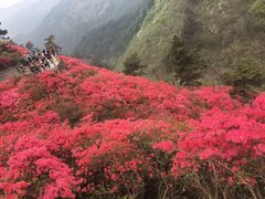 -木兰云雾山