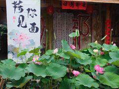 -田园印象·成都土菜院子(华阳店)